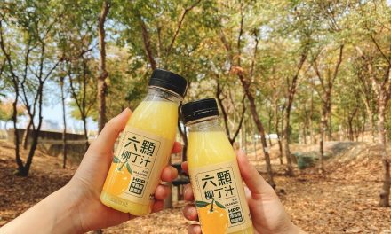 大苑子六顆柳丁汁 開工優惠　全新飲品「莓好艾波」2/10上市