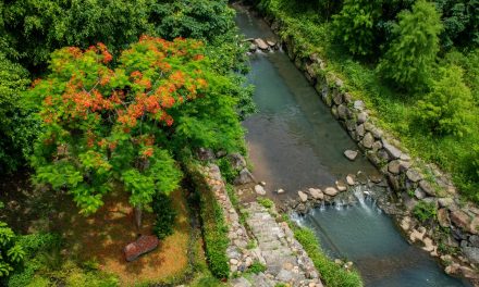 春遊最美「滬尾藝文休閒園區」 尋訪淡水綠色秘境